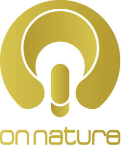CATALOG-MKI-13.png